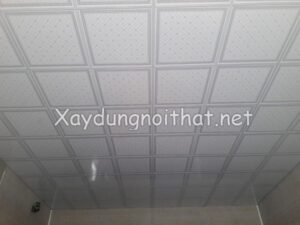 Mẫu trần thạch cao thả