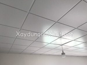 Mẫu trần thạch cao thả