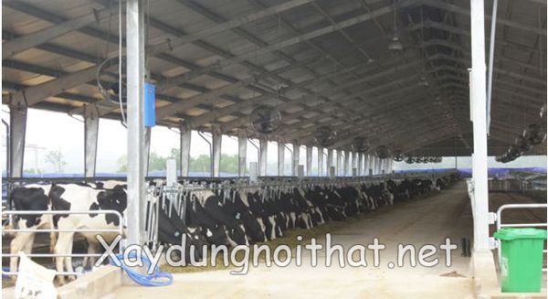 nha tien che 10