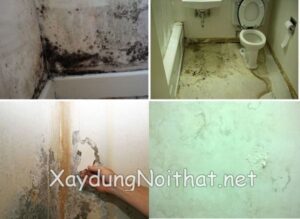 Dịch vụ chống thấm nhà vệ sinh