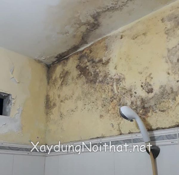 Giải Pháp Chống Thấm Nhà Vệ Sinh Giá Rẻ – Chuyên Nghiệp, Nhanh Chóng! chong tham nha ve sinh 2