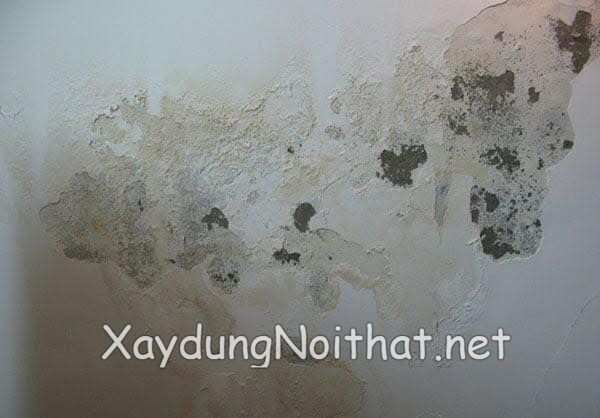 Giải Pháp Chống Thấm Nhà Vệ Sinh Giá Rẻ – Chuyên Nghiệp, Nhanh Chóng! chong tham nha ve sinh 3