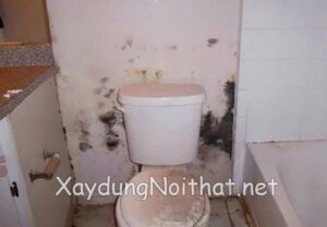 Dịch vụ chống thấm nhà vệ sinh