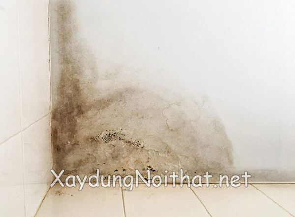 Giải Pháp Chống Thấm Nhà Vệ Sinh Giá Rẻ – Chuyên Nghiệp, Nhanh Chóng! chong tham nha ve sinh 5