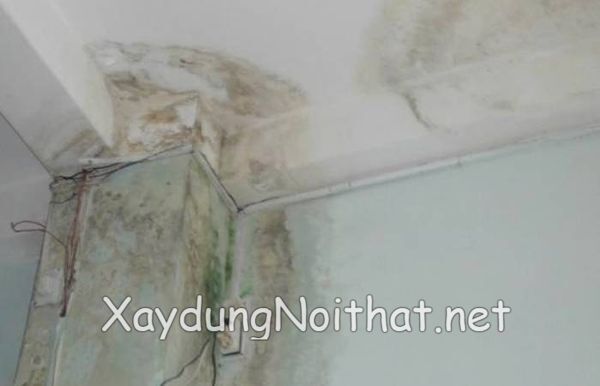 Giải Pháp Chống Thấm Nhà Vệ Sinh Giá Rẻ – Chuyên Nghiệp, Nhanh Chóng! chong tham nha ve sinh 6