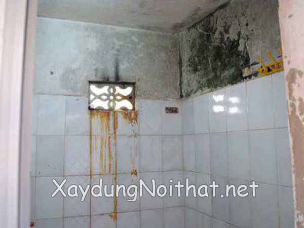 Giải Pháp Chống Thấm Nhà Vệ Sinh Giá Rẻ – Chuyên Nghiệp, Nhanh Chóng! chong tham nha ve sinh 7