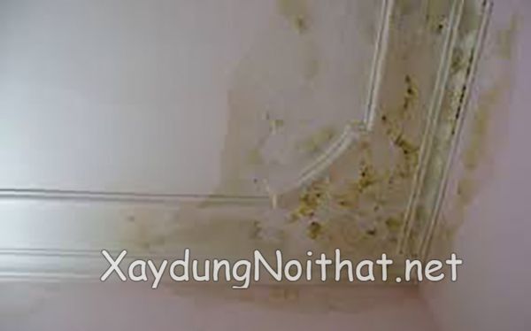 Chống Thấm Sân Thượng Giá Rẻ – Dịch Vụ Nhanh Chóng, Triệt Để 100%! chong tham san thuong 2