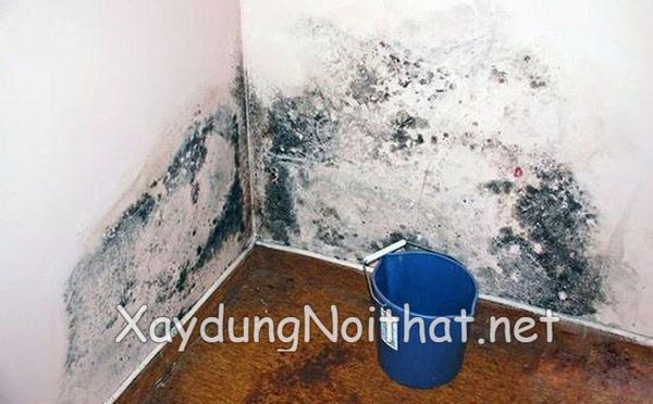 Chống Thấm Tường Hiệu Quả 100% – Giải Pháp Triệt Để, Giá Rẻ Bất Ngờ! chong tham tuong 10