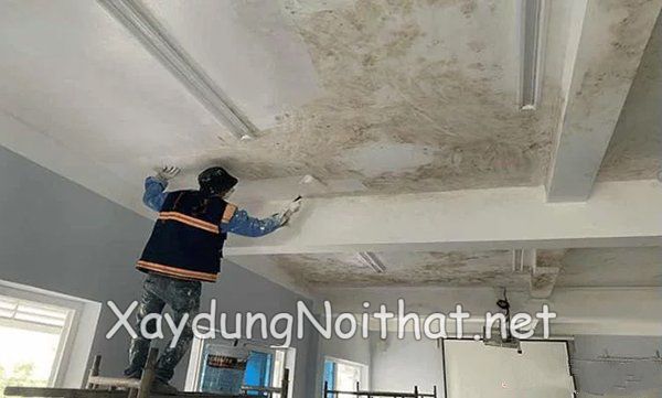chong tham dot tran nha 12