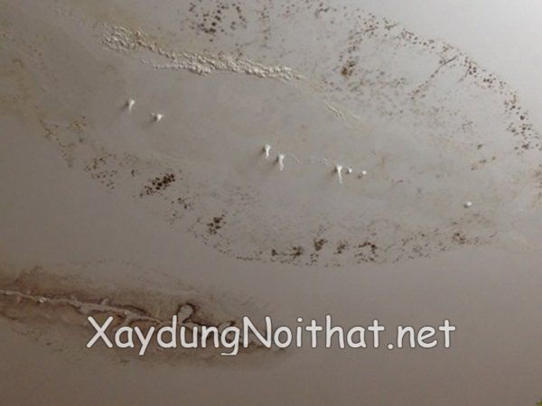 chong tham dot tran nha 5