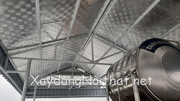 mai ton chong nong 3