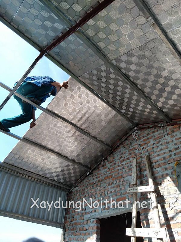 mai ton chong nong 5